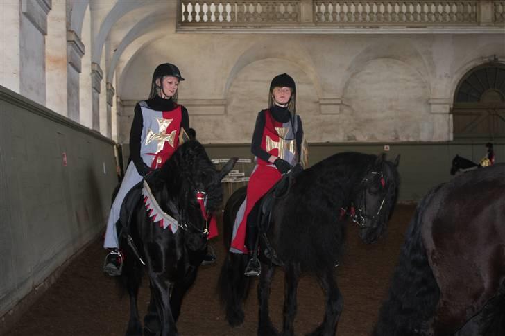 Frieser Uljke J (Paris)  - Henning og Paris på Christiansborg til 100 års jubilæum for hestenesværn billede 4