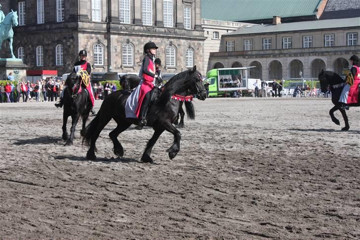 Frieser Uljke J (Paris)  - Henning og Paris på Christiansborg til 100 års jubilæum for hestenesværn billede 5