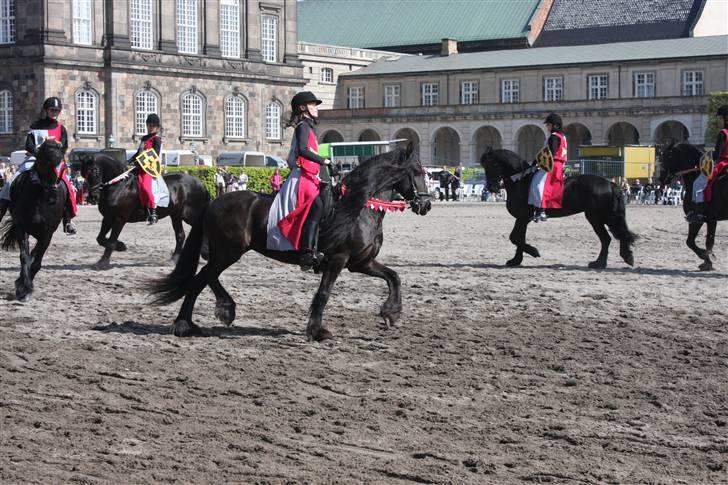 Frieser Uljke J (Paris)  - Henning og Paris på Christiansborg til 100 års jubilæum for hestenesværn billede 6