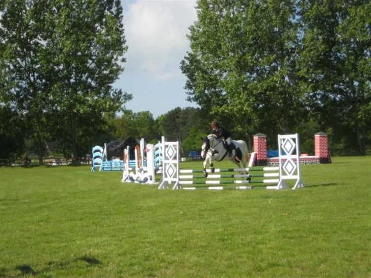 Pinto Marotts Chillie - Mit første stævne 21/5 billede 14