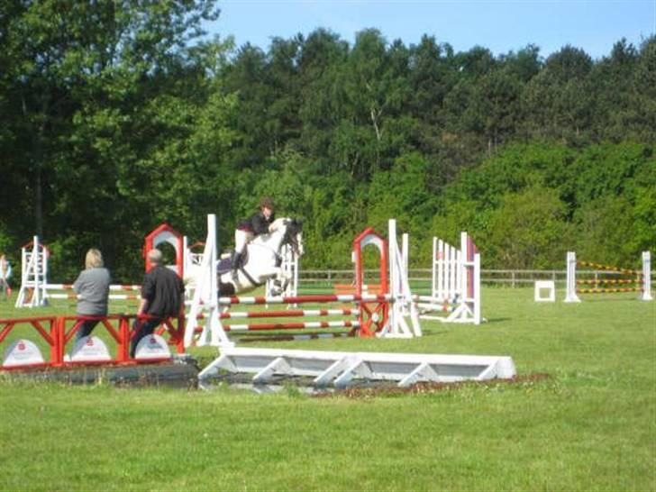 Pinto Marotts Chillie - Mit første stævne 21/5 billede 15