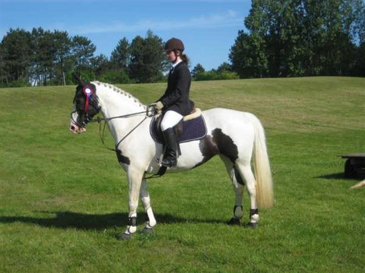 Pinto Marotts Chillie - Mit første stævne 21/5 billede 16