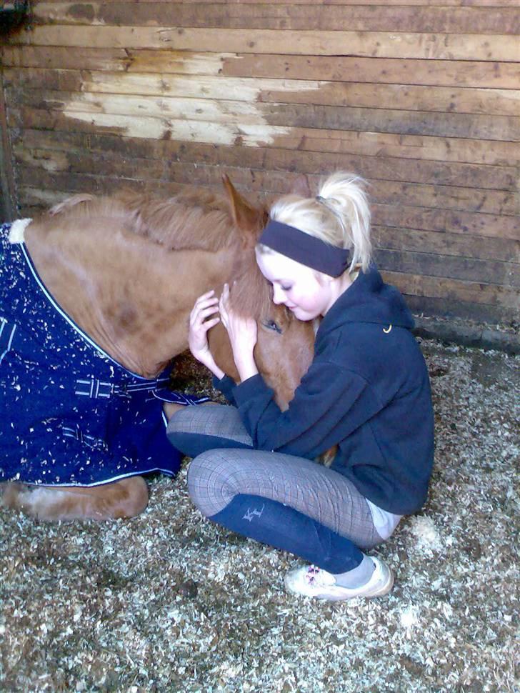 Anden særlig race Sweet Sunshine EFTERLYSES - sunni er en rigtig lille putte pige :D<3 billede 20
