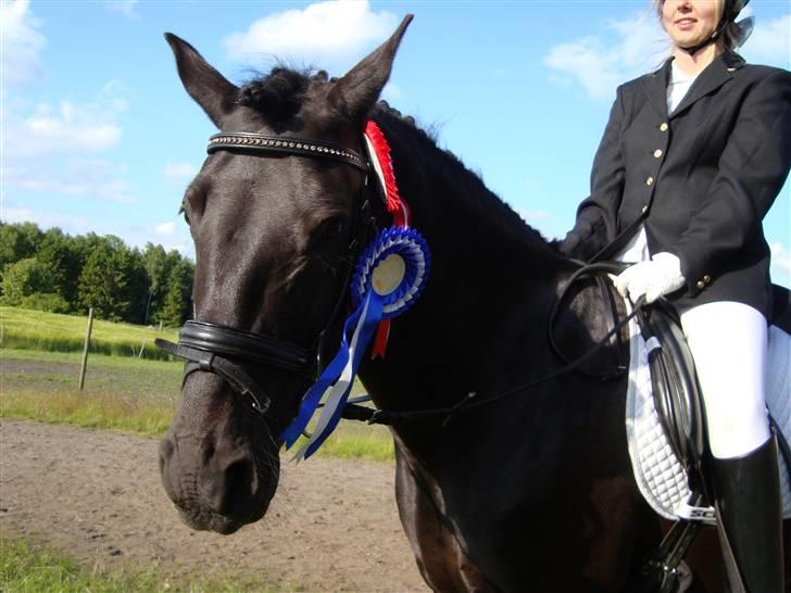 Anden særlig race Chico*Solgt* - Chico til stævne d. 6-6-09 i RORK 1 og 2 plads han er så dygtig den pony! ;D billede 10