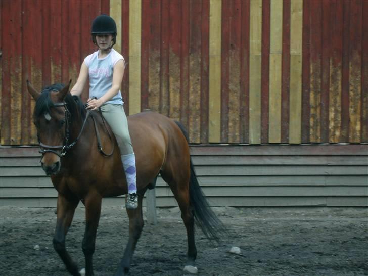 Arabisk fuldblod (OX) Gevinst.. Gammel part - Uhh hor går han pænt :-D billede 10