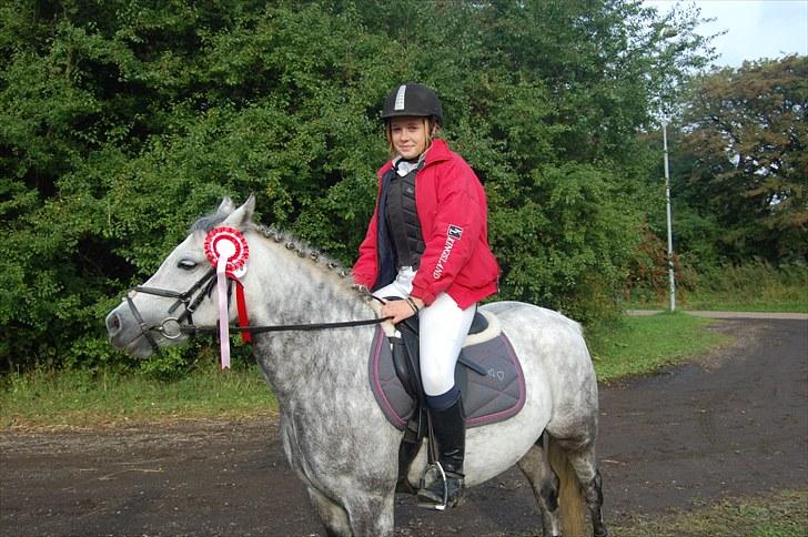 Welsh Pony (sec B) Gipsy | solgt | - vandt LB´en :-) foto : Mor :-) billede 6