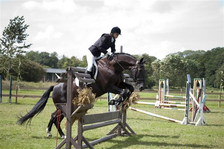 Oldenborg Mira *gammel part* - Debutant klasse august 2009 billede 1
