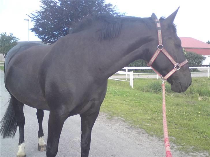 Oldenborg Mira *gammel part* - Smukke pige billede 3