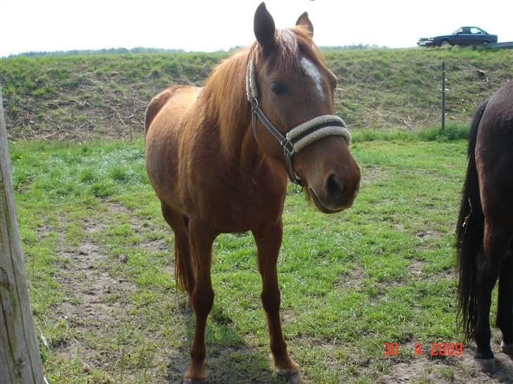 Traver Kind of magic billede 12