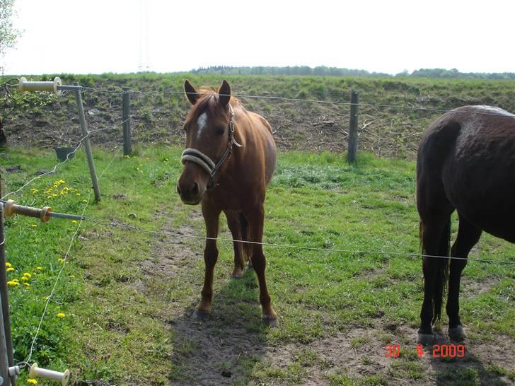 Traver Kind of magic billede 13