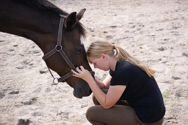 Dansk Varmblod Sundgårdens Rebell † - Jeg vil ALTID elsker dig, min smukke!<3(´: Foto: Michelle. billede 2