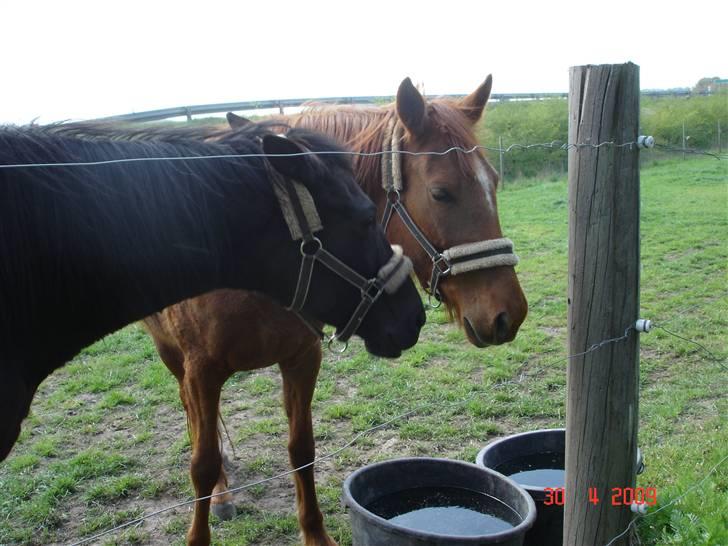 Traver Kind of magic billede 14