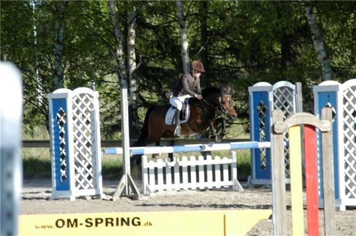 Anden særlig race Kissba - Til Distriktsmesterskaberne på BAR, blev 2er. billede 13