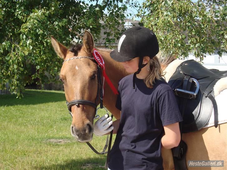 Anden særlig race Højgårdens Bella billede 1