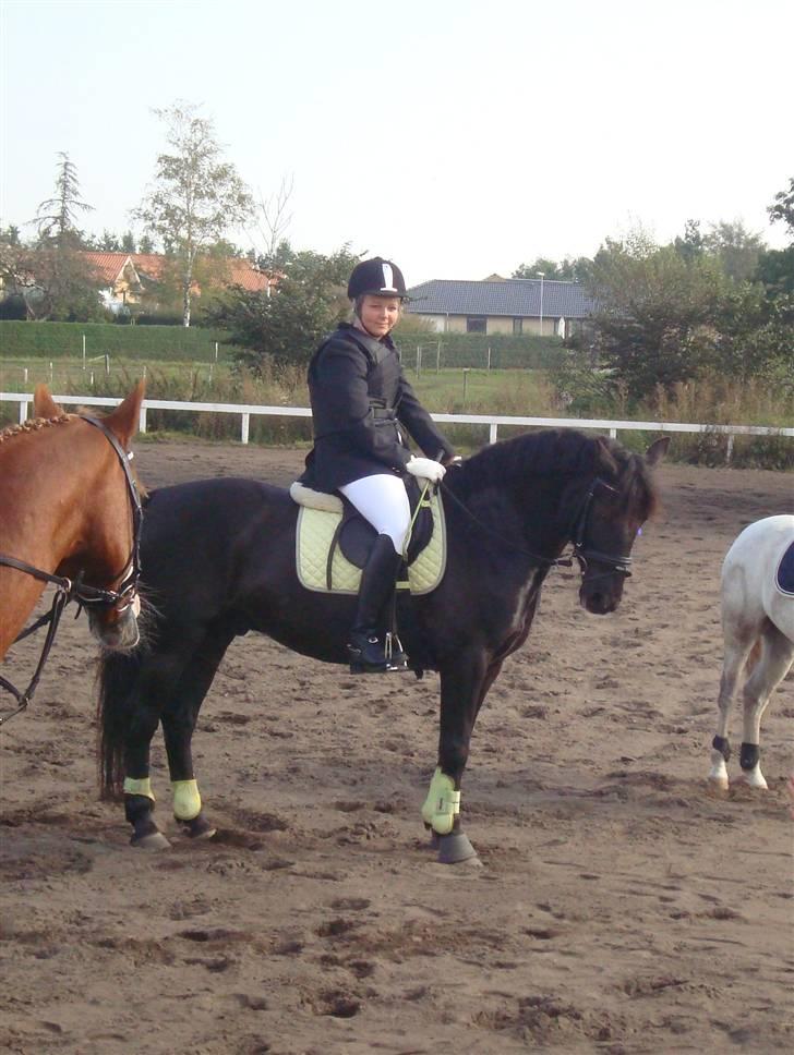 Anden særlig race Chico*Solgt* - præmie overraskellelse 2 plads(: billede 13