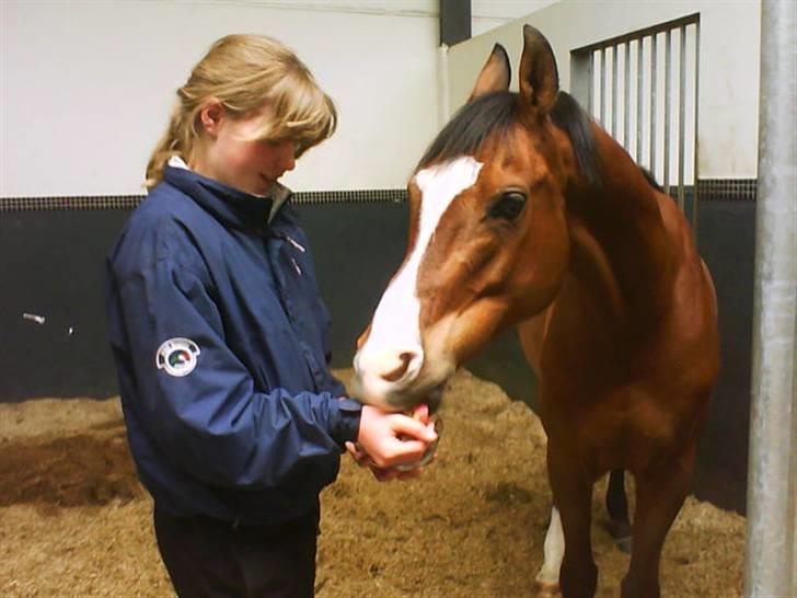 Anden særlig race **Flux<3** solgt:´( - lidt " guf guf"  til Flux på hans fødselsdag (27 april 2009) billede 8