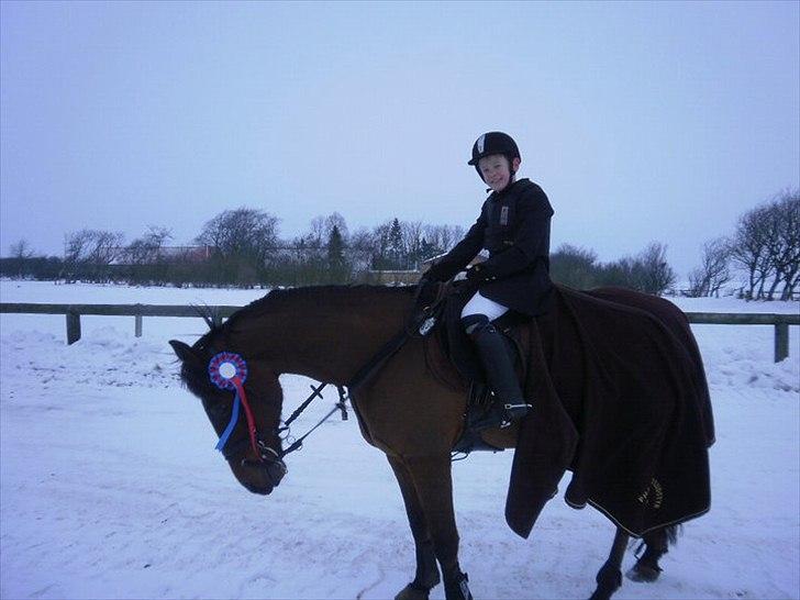 Anden særlig race Baloü B-pony<3 - Magnus og Balou i Hurk :D billede 13