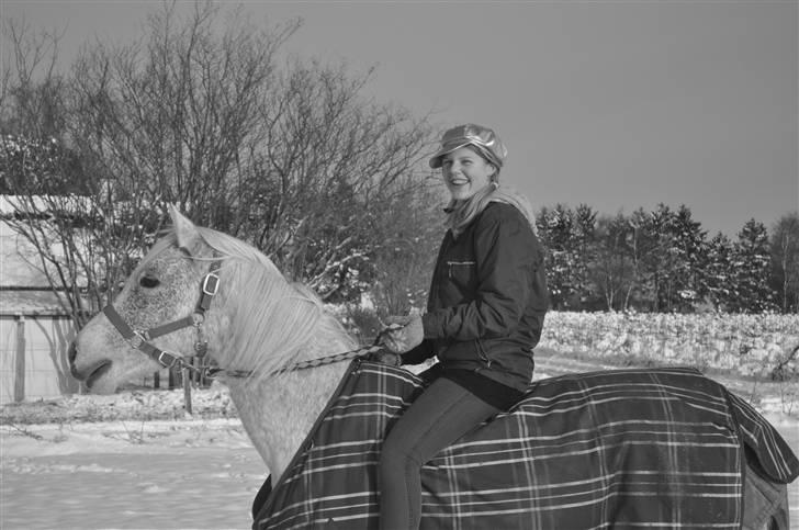 Sportsaraber (A) Cheri  #Solgt# - Dig & Mig - Chrisfotos billede 13
