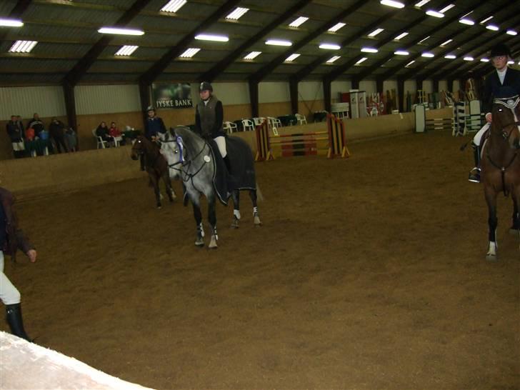 Holstener Claudius (Dunkel)  - En flot 2 plads i LA :) <3  billede 11