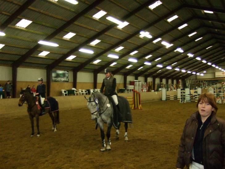 Holstener Claudius (Dunkel)  - 2 plads i LA :)  billede 12