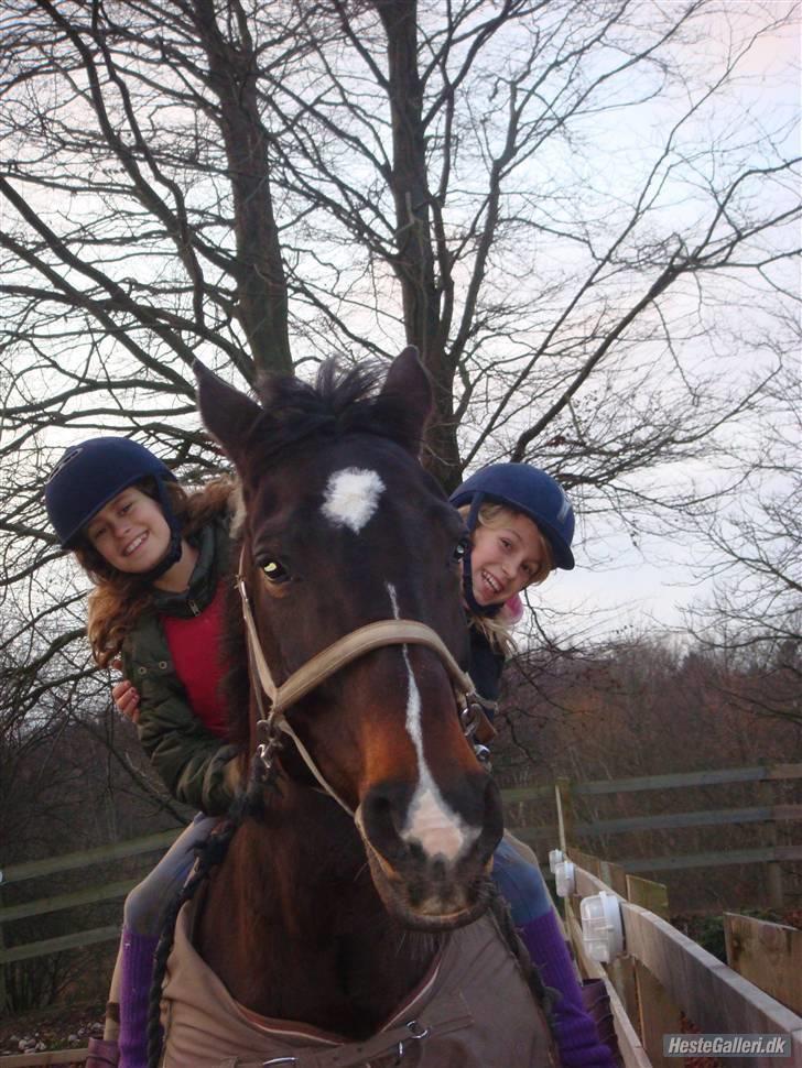 Hollandsk Varmblod Liza Aflivet d.29 oktober - fra venstre mig, liza og tillo heheeh foto: jasmin billede 9