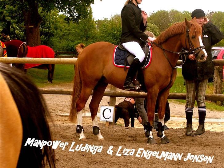 Hollandsk Sportspony MANPOWER LUDINGA - tak fordi i så med (; til askovs stævne i maj - taget af mille rasmussen (; tak. billede 17