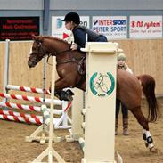 Anden særlig race Cindy H