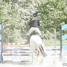 Irish Cob Mars Solgt :(