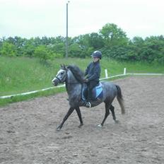 Anden særlig race hannibal