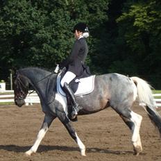 Anden særlig race Kira "SOLGT" ;'((