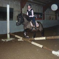 Anden særlig race Sputnik