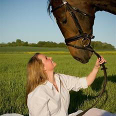 Dansk Varmblod Daylight Rex R.I.P. <3