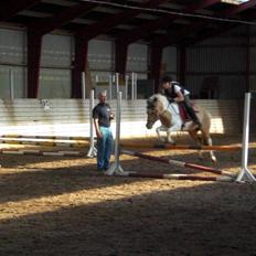 Anden særlig race Dundee. <3