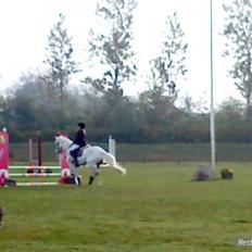 Anden særlig race Speedy Gonzales SOLGT!