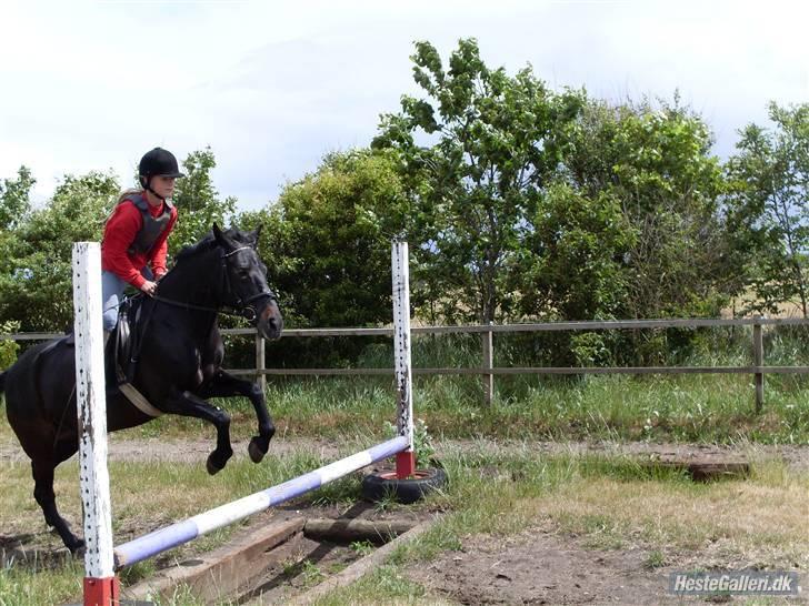 New Forest gl part:´( Bonette<3 - #14 SUPER SPRING!! PONY  billede 14