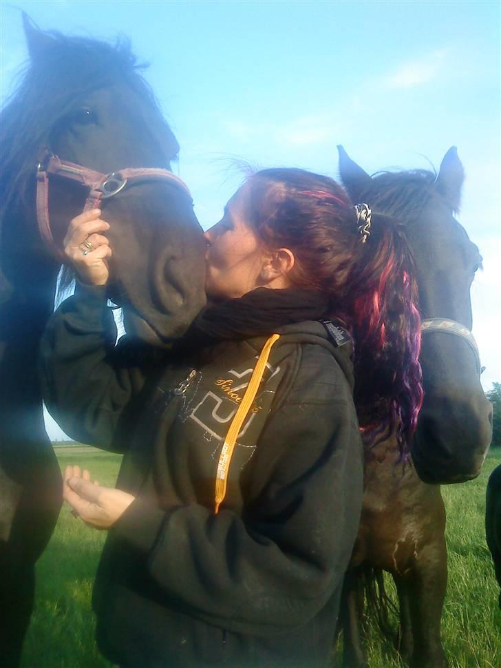 Frieser Quiny *Min baby kommer hjem igen <3 * billede 17