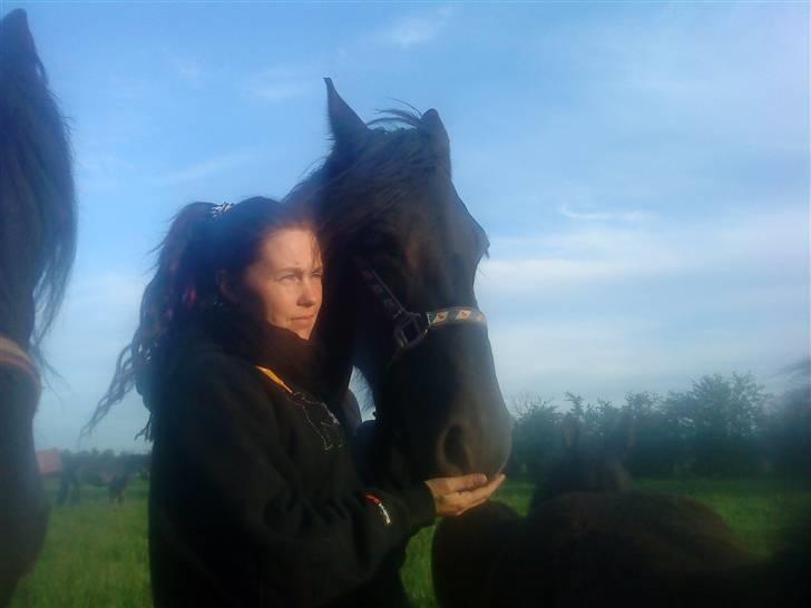 Frieser Femke *solgt :'(* billede 16