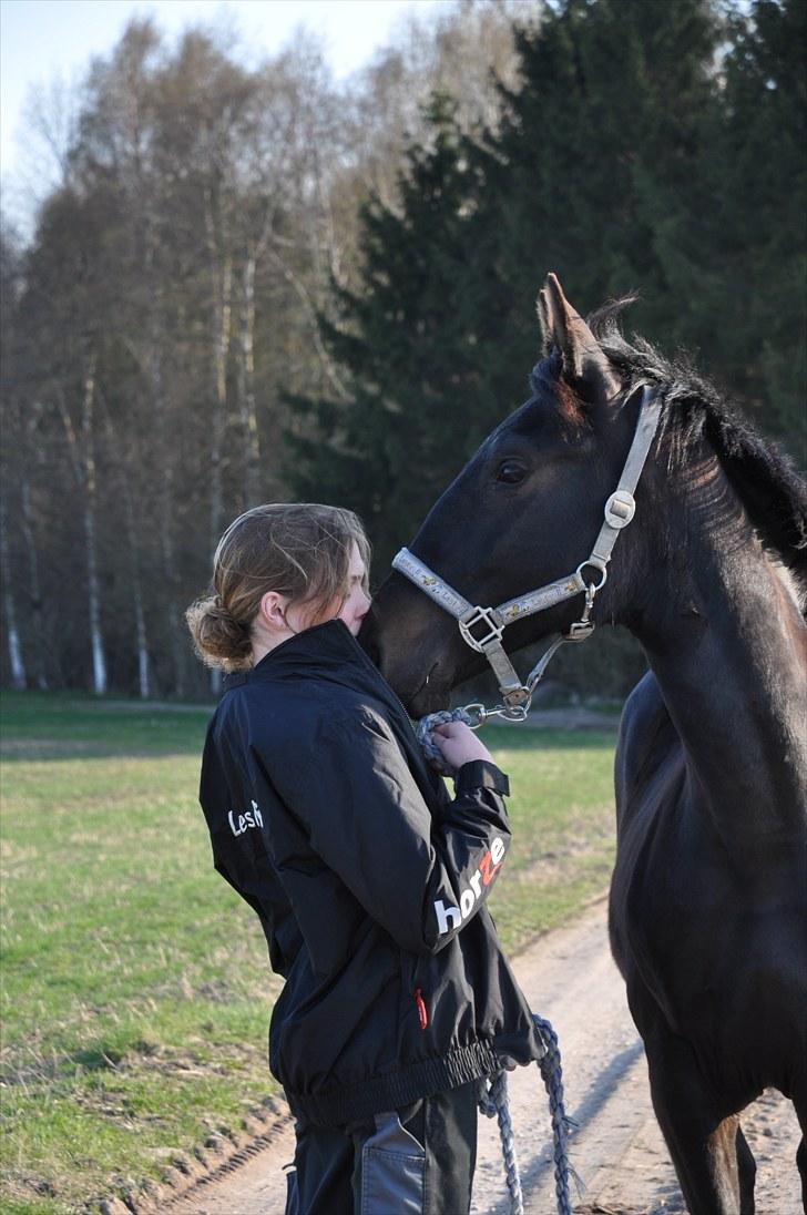 Oldenborg Scirocco Noir. - 9) Elsker dig min dreng!  billede 9