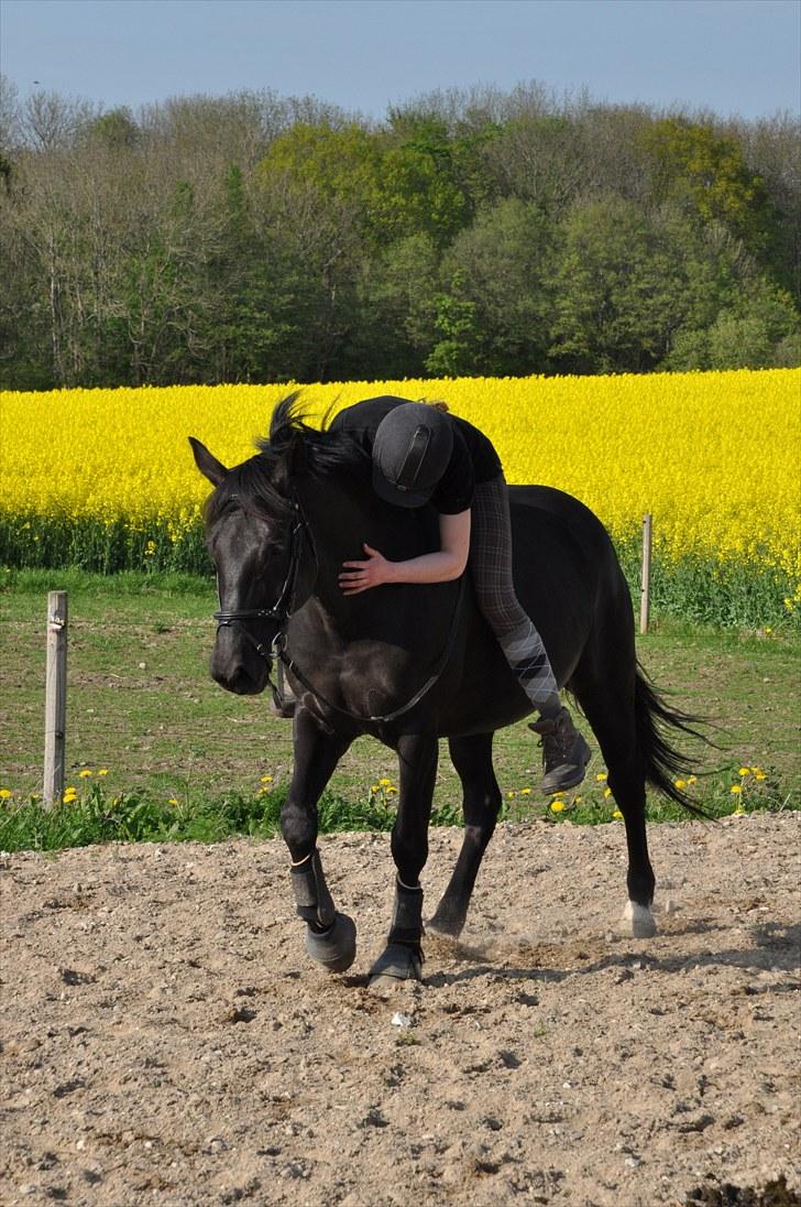 Oldenborg Rokas Noir - Hygge maj 2010 billede 15