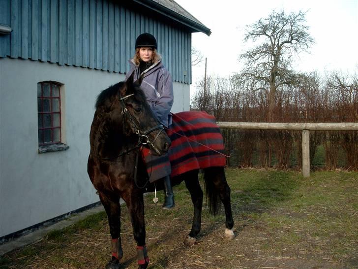 Oldenborg Rokas Noir billede 19