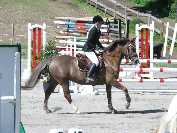 Tysk Sportspony Lotusblume - 20# Æresrunde på Egene - blev nr. 4 i LA :) D. 23/5-09. Foto: Mig billede 20