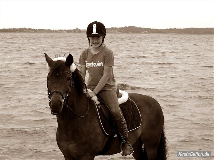 New Forest Mankehøjs Glamour<3 SOLGT:'-( - velkommen til mulle´s profil ude i vandet..<3 billede 2