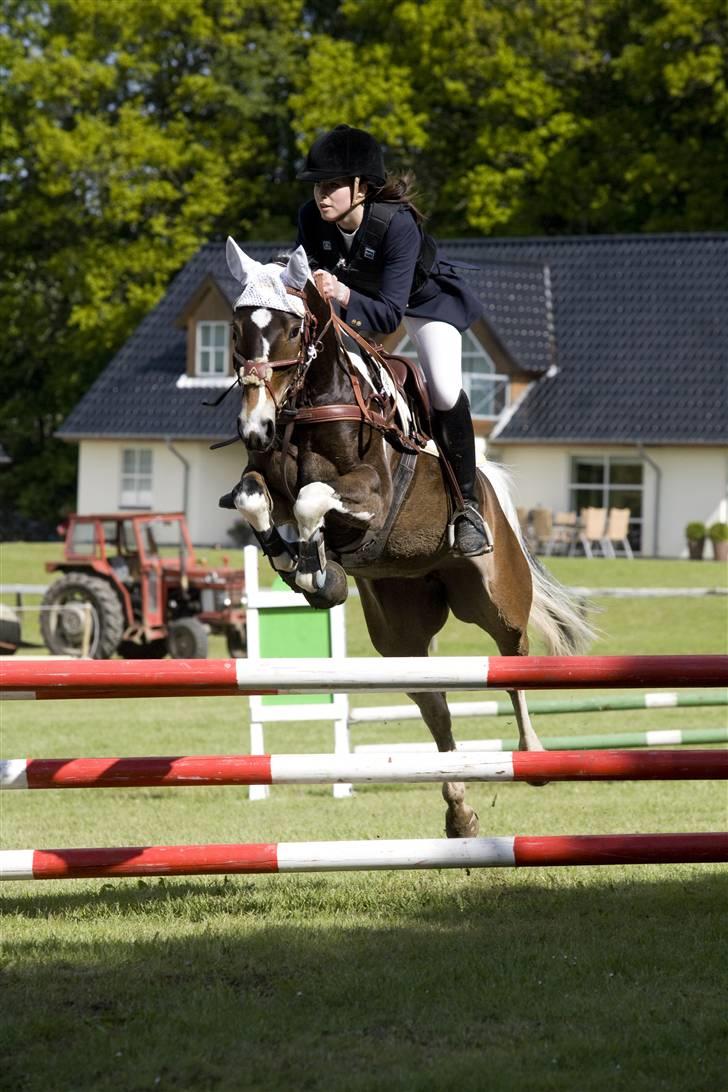 Anden særlig race Zoey solgt :/ billede 5