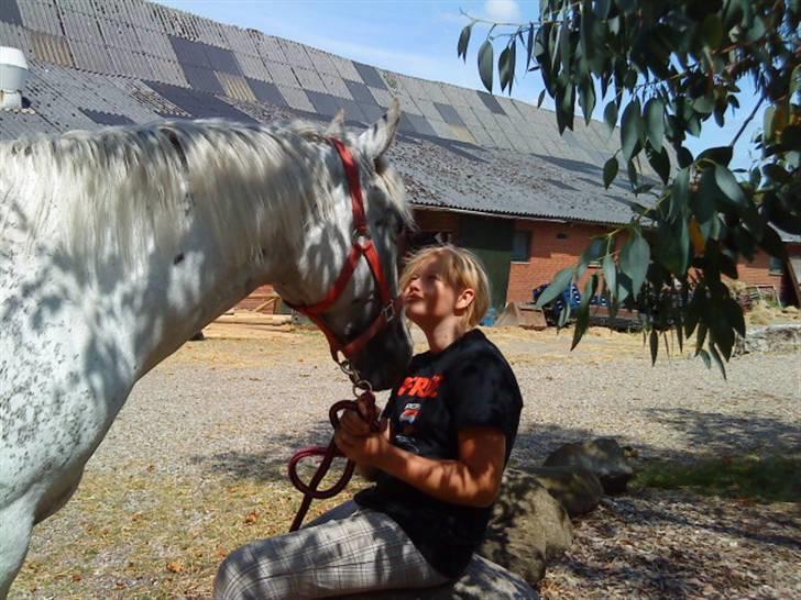 Knabstrupper Flying Ghost 'Solgt' :'( - Ghost & jeg en hyggestund :´) <3  billede 4