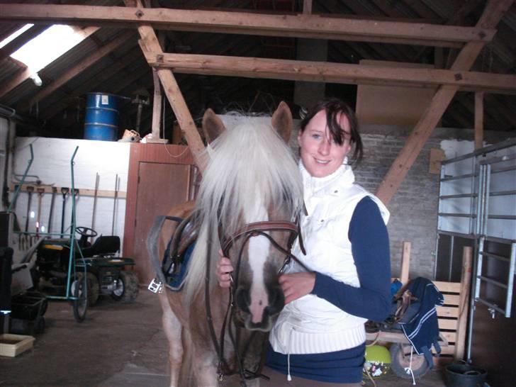 Tyroler Haflinger Paxandra Søgaard-Med føl - 6] billede 6