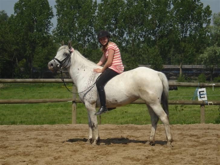 Knabstrupper Flying Ghost 'Solgt' :'( - Hygge uden sadle :D <33 Ghost & Bine FOREVIGT !! billede 11