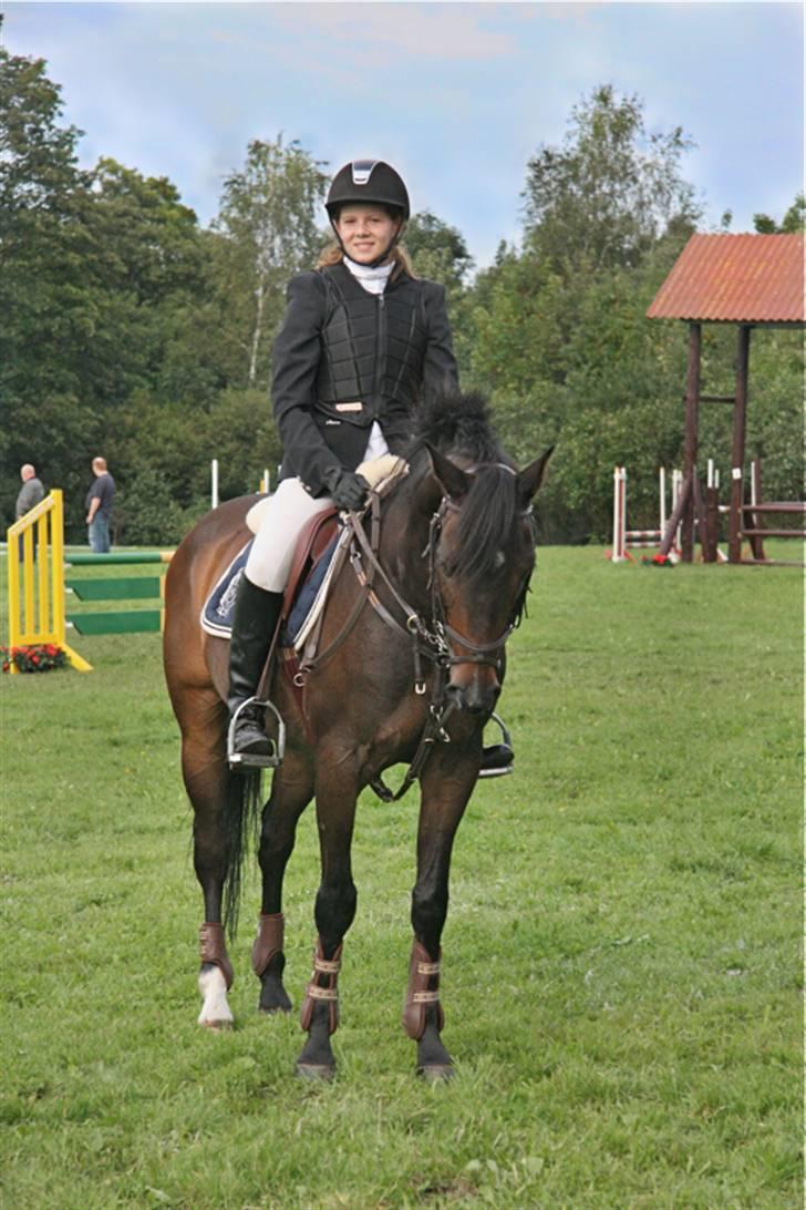 Tysk Sportspony - Anthony  billede 17