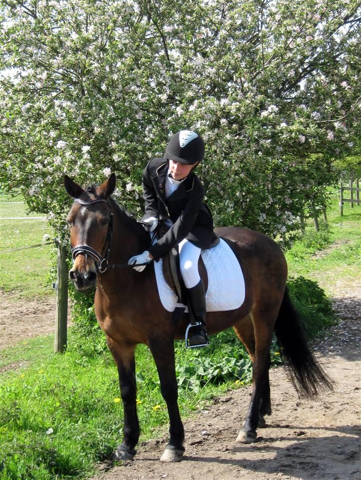 Anden særlig race May-day<3 *solgt* billede 10