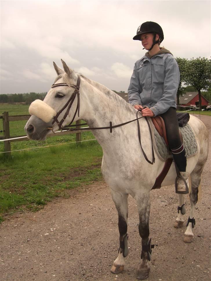 Welsh Pony (sec B) Ballettens Silent victory - mig og sille.. <3 billede 3