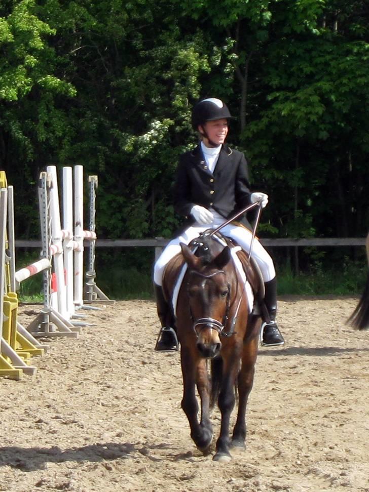 Anden særlig race May-day<3 *solgt* billede 13